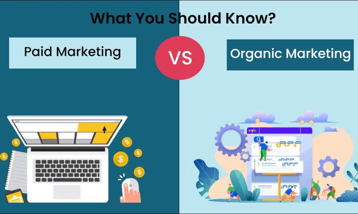 organic-marketing-vs-paid-marketing